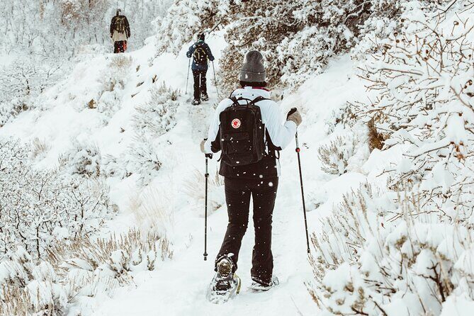 Snowshoeing tour with Wild Lunch - Timing and group size: why this works as a short Lapland day