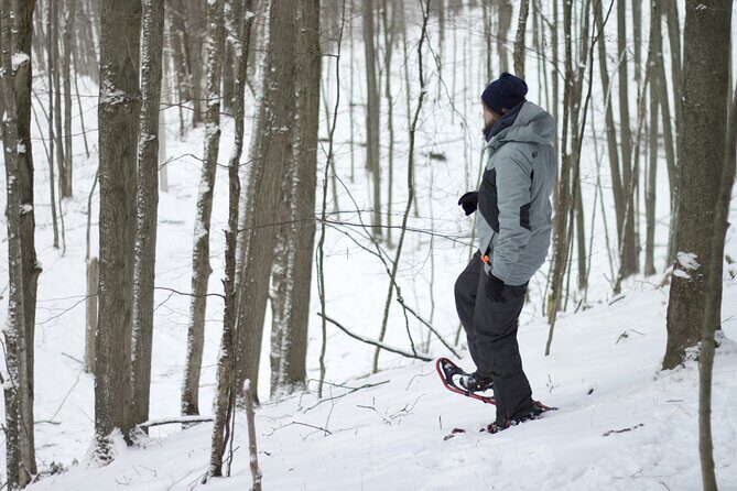 Snowshoeing tour with Wild Lunch - Weather and comfort: the reality of a winter outdoor tour