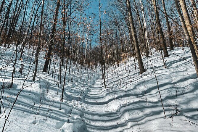 Snowshoeing tour with Wild Lunch - Who should book this snowshoe-and-teepee day (and who might skip it)