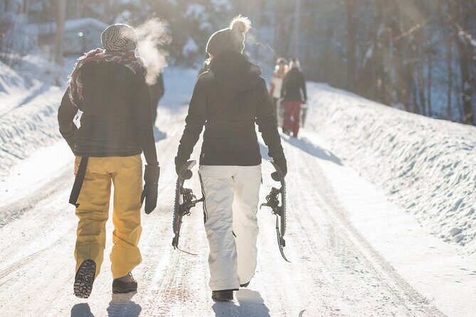 Snowshoeing tour with Wild Lunch - Snowshoeing near Lapland’s frozen stillness
