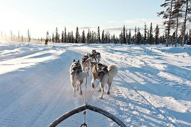 Snowy Trails 10km Husky Safari from Rovaniemi - Safety briefing and why it affects how much fun you’ll have